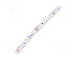 LED tape | white cold | Case (mm): 2835 | LED/m: 60 | 8mm | IP64 | 120°
