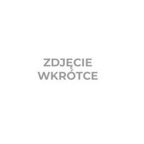 Įrankiai ir matavimo prietaisai // Įrankių, priedų naujienos // Wkład 1 do wózka stanley