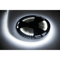 LED juostos // NEON FLEX LED strips // sznur diodowy 25m Rebel (1500x5050 SMD) zimny biały, 12V