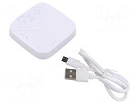 Gate | ZigBee® 3.0 | -10÷45°C | Software: Tuya SMART | Bluetooth: Mesh
