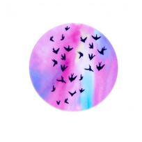 Universalus laikiklis (Popsocket) iLike  Universal Pop Holder Bird