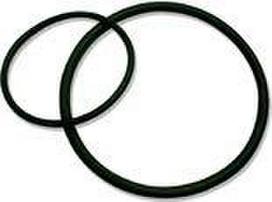 O-ring for AquaKid filter