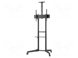 Holder: stand | monitor,TV | free-standing handle | 50kg