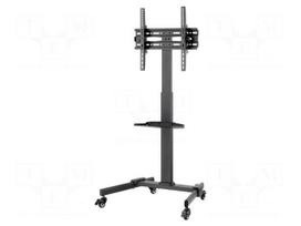 Holder: stand | monitor,TV | free-standing handle | 35kg