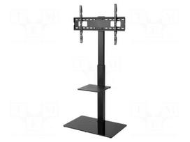 Holder: stand | monitor,TV | free-standing handle | 40kg