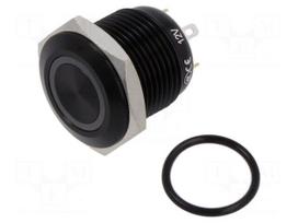 Switch: vandal resistant | Pos: 2 | SPST-NO | 2A/36VDC | IP67 | OFF-(ON)