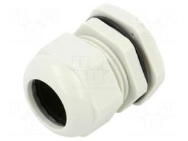 Cable gland | PG29 | polyamide | light grey