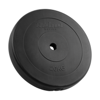 Įrankiai ir matavimo prietaisai // Įrankių, priedų naujienos // Obciążenie bitumiczne 20kg, otwór 31mm, talerz klasyczny, REBEL ACTIVE