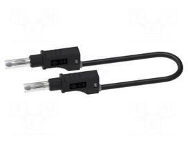 Test lead: single | 36A | banana plug 4mm,both sides | Urated: 600V