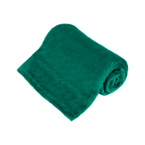 Produktai namams ir sodui // Lauke | Sodo baldai // Koc polarowy 150x200 cm TEESA - zielony