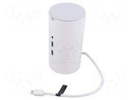 Hub USB | USB 3.0,USB 3.1 Gen 1 | white | Number of ports: 12 | 0.25m
