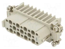 Connector: HDC | contact insert | female | CD | PIN: 25 | 10A | 600V | 25+PE