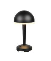 RL MENDOREZ incl.1x2,5W LED/180Lm/3000+4000+6500K     R54541132 gaismeklis