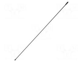 Antenna | automotive,external | 0.41m | M6 | outside | AM,FM