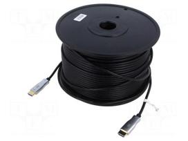 Cable | HDMI plug,both sides | 100m | black