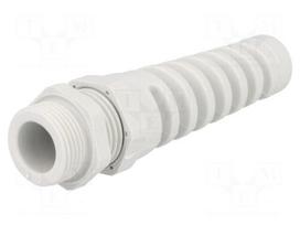 Cable gland | with strain relief | PG13,5 | IP68 | polyamide | grey