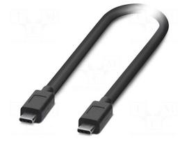 Cable | USB 3.2 Gen 1 | USB C plug,both sides | 3m | black | Cu | PVC