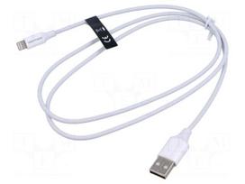 Cable | USB 2.0 | Apple Lightning plug,USB A plug | nickel plated