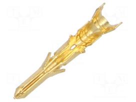 Contact | male | Standard .062" | gold-plated | 24AWG÷18AWG | bulk