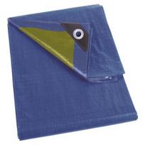 Tarpaulin - Blue/Green - Regular - 5 X 8 M