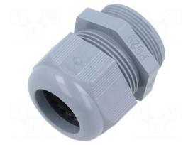 Cable gland | PG29 | polyamide | grey