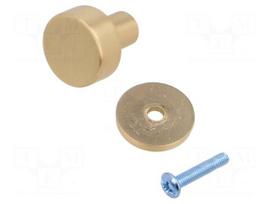 Knob | Ø: 25.8mm | H: 30.8mm | zamak | RING | Plating: galvanized | round