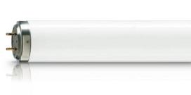 PHILIPS TL 20W/12 RS SLV/25 spuldze Phototherapy 928010001230 8718696662434