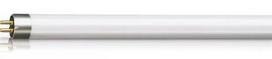 PHILIPS Insect TL 8W /10 SECURA spuldze Insect trap 928011001029 8718291680109
