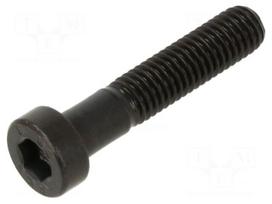 Screw | M5x25 | 0.8 | Head: cheese head | hex key | HEX 4mm | steel