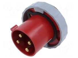 Connector: AC supply 3-phase | socket | male | 63A | 460V | IP&S | IP69K