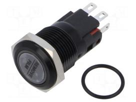 Switch: vandal resistant | Pos: 2 | SPDT | 5A/250VAC | 2A/24VDC | IP67