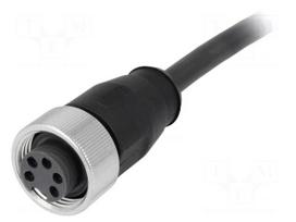 Connector: 7/8" | plug | female | PIN: 5 | straight | with lead | TPE-U