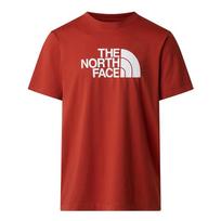 Męska The North Face Evolution Half Dome - Dydis M (0A8B6JG6I1 Marškinėliai)