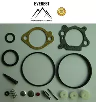 Briggs & Stratton Remontinis komplektas BRIGGS&STRATTON QUANTUM 492495, 493762, 498260