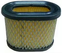 Briggs & Stratton ORO FILTRAS BRIGGS&STRATTON INTEK 5KM-6KM