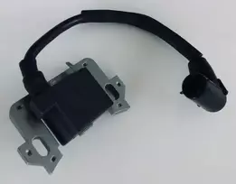 Tinkantis Honda UŽDEGIMO RITĖ HONDA GCV160