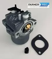 Briggs & Stratton KARBIURATORIUS BRIGGS&STRATTON 495706, 498027, 498231, 499161, 799728