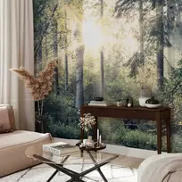Artgeist Fototapetas - Tales of a Forest