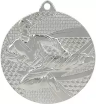Tryumf Medal sidabrinė- karate - medal plieno