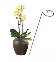 Eu Sandelis Augalų atrama 40 cm ROS05WZ3
