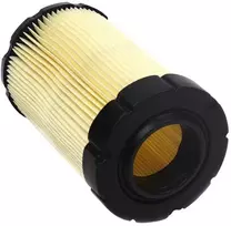 Oro filtras Briggs&Stratton 4243; 5 vnt.