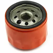 Alyvos filtras Briggs&Stratton 798576; 1 vnt.