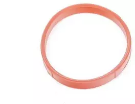BMW E36 E46 droselinės sklendės sandarinimo tarpiklis originalus 13547504728