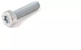 BMW Torx Varžtas E39 E61 Z8 K25 Originalus 51247217793