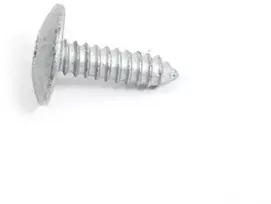 BMW E46 Torx varžtas Originalus 41358203482