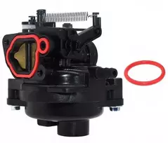 Briggs & Stratton KARBIURATORIUS BRIGGS&STRATTON SERIES 550e, 575ex Auto-choke