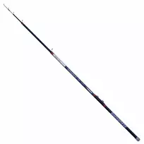 Plūdinė Meškerė Robinson Carbonic Bolognese 5m 10-20 g