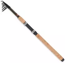 Karpinė Meškerė Robinson Ashigari Tele Carp 3,30m 40-90g
