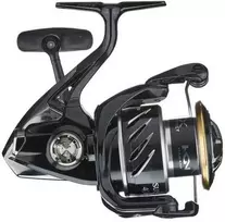 Spiningo Ritė Shimano Sustain 2500 FI
