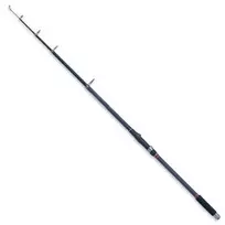 Meškerė Robinson Carbnic T-Carp 3,0 m, 40-90 g